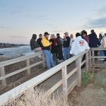 Cambria_0250 (November 05, 2011)